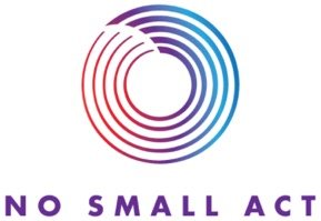 No Small Act Logo